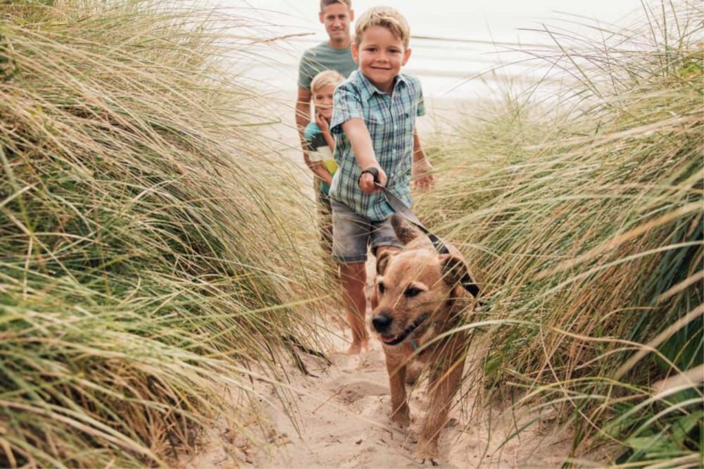 Kids and Dog on the beach