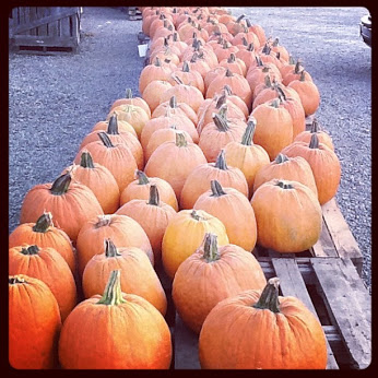 Halloween Outer Banks