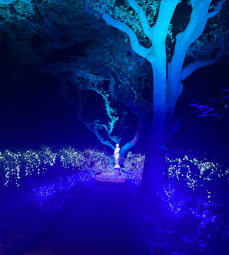 Winterlights Begins! Event