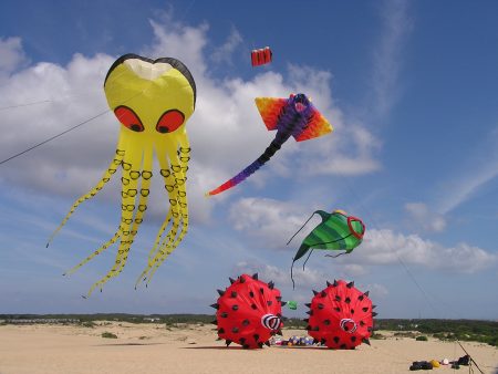 Rogallo Kite Festival Event