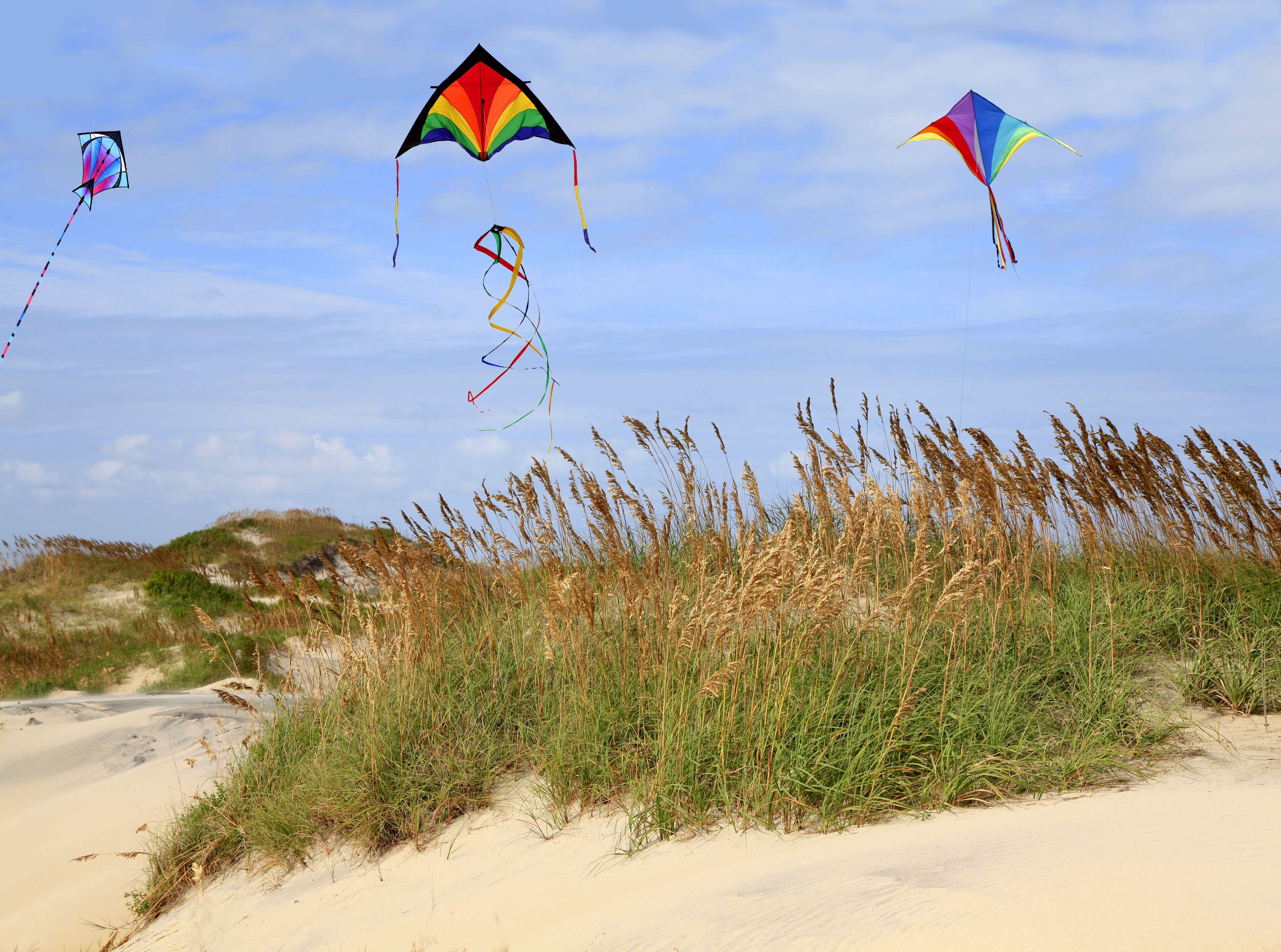 Outer Banks Kite Festival Event