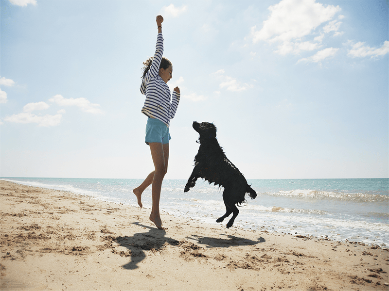 Thing To Do Pet Friendly Rentals